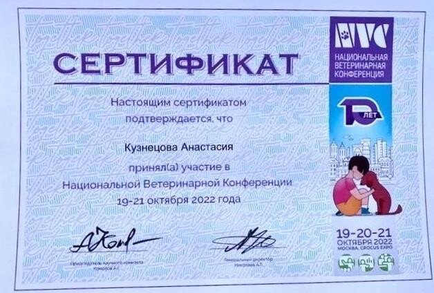 Документ или сертификат