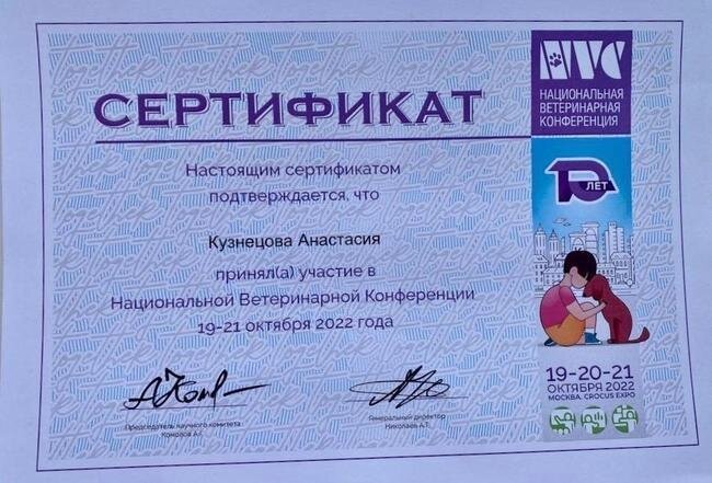Документ или сертификат
