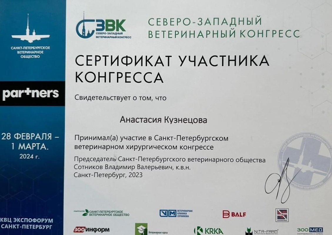 Документ или сертификат