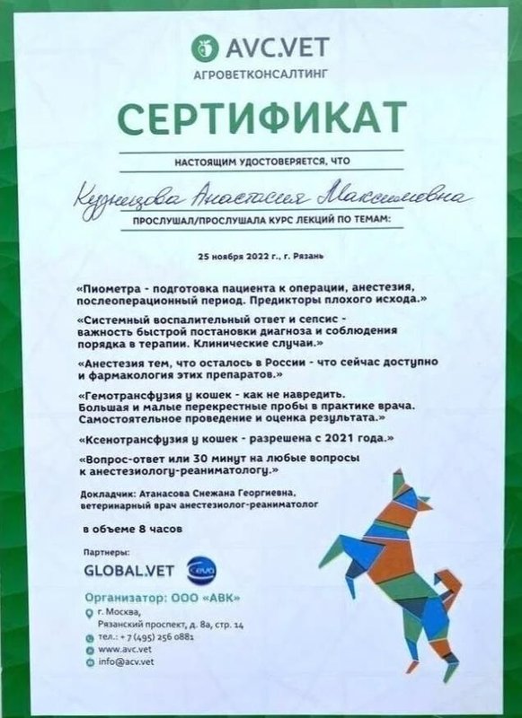Документ или сертификат