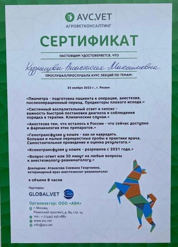 Документ или сертификат