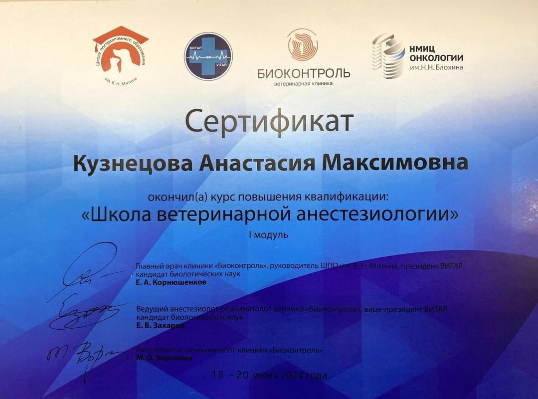 Документ или сертификат