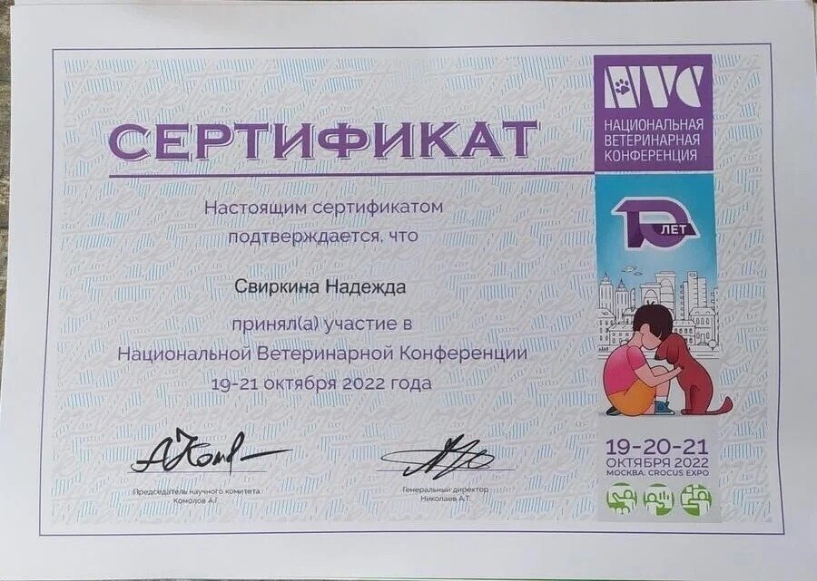 Документ или сертификат