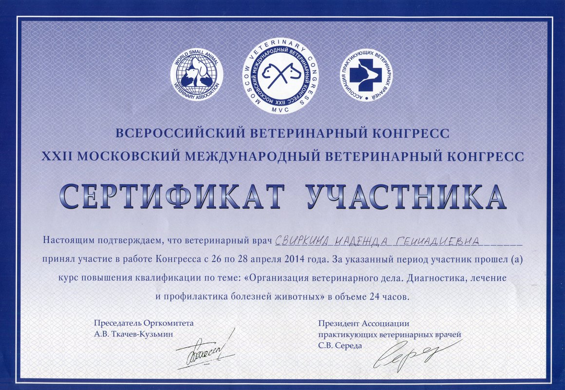 Документ или сертификат