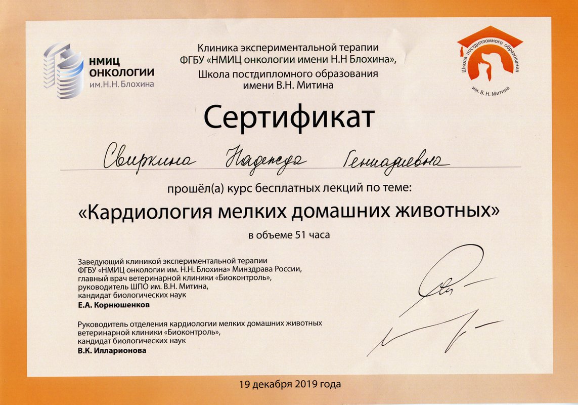 Документ или сертификат
