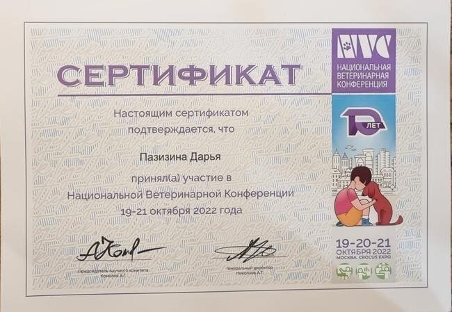 Документ или сертификат
