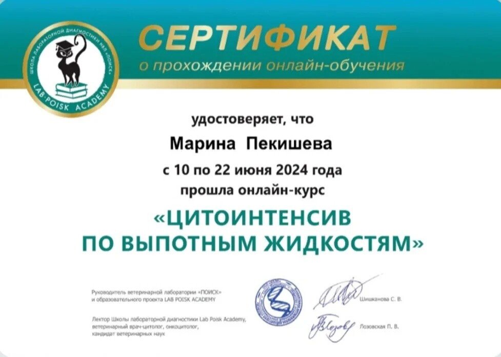 Документ или сертификат