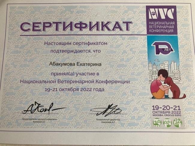 Документ или сертификат