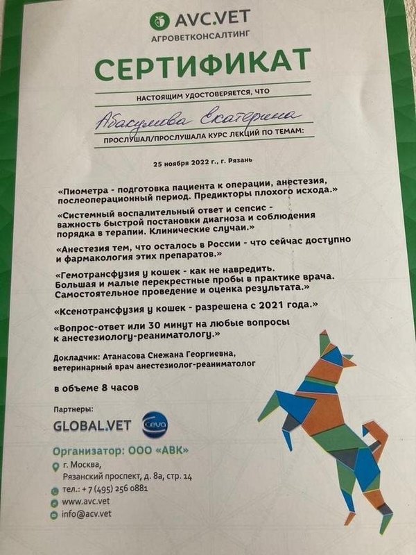 Документ или сертификат