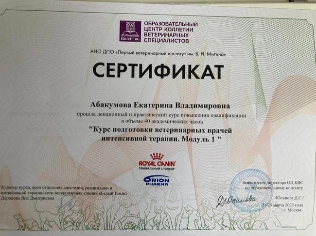 Документ или сертификат