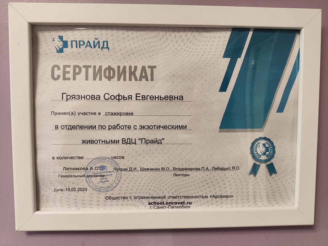 Документ или сертификат
