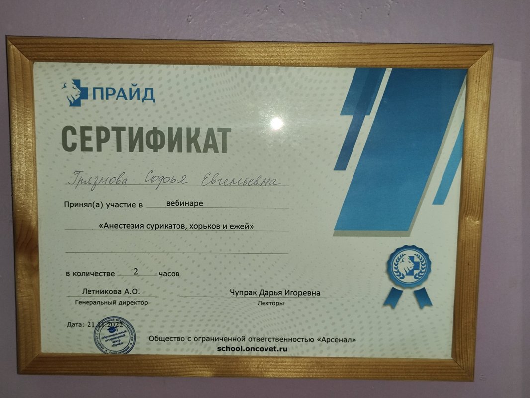 Документ или сертификат