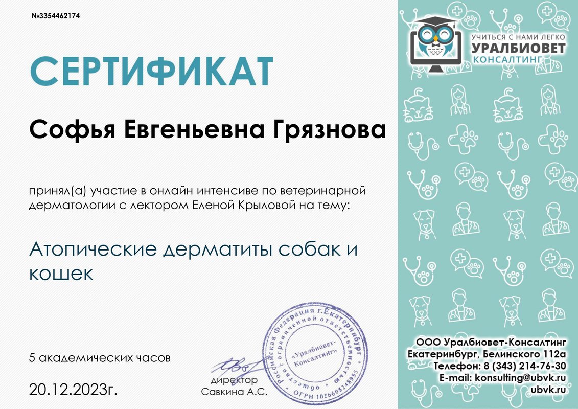 Документ или сертификат