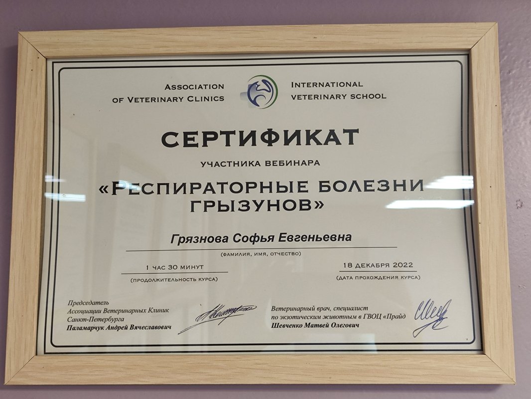 Документ или сертификат