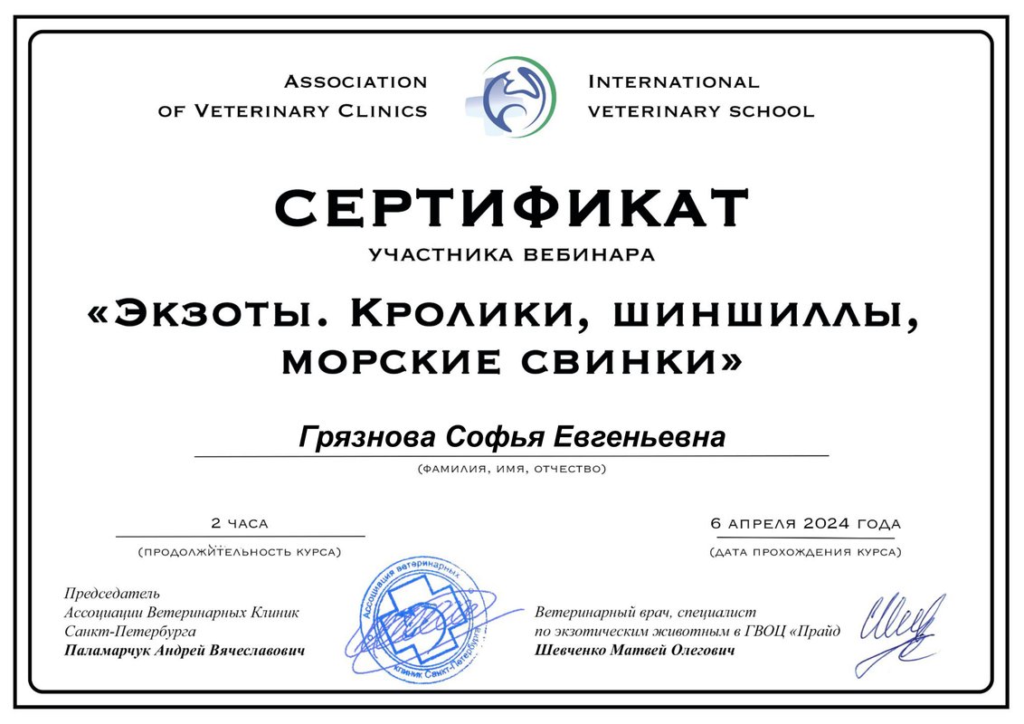 Документ или сертификат