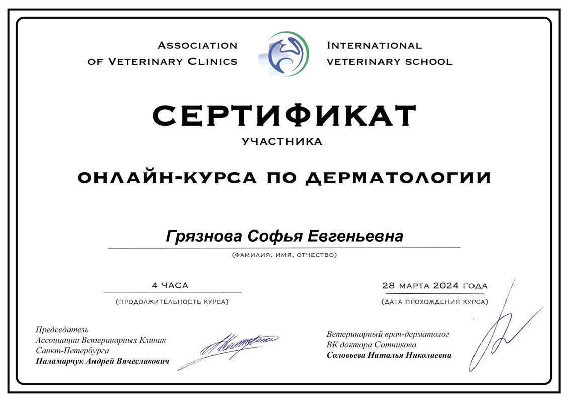 Документ или сертификат