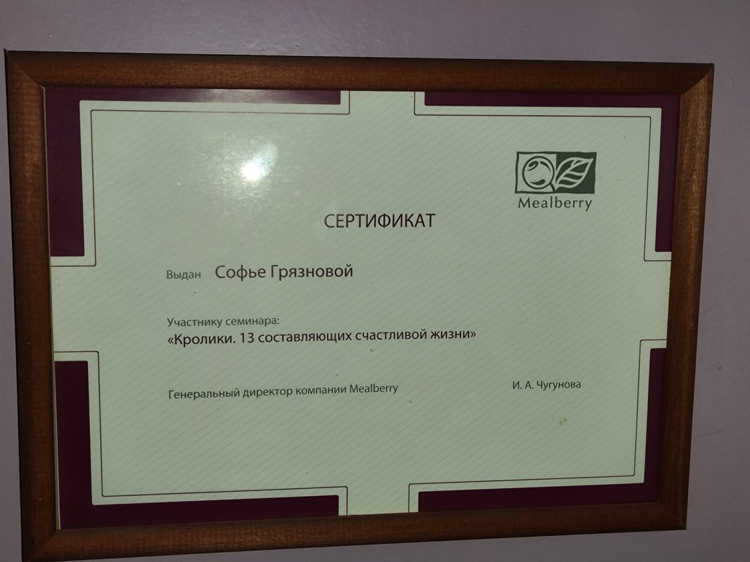 Документ или сертификат