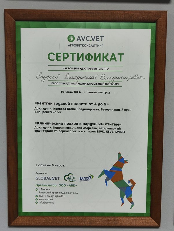 Документ или сертификат