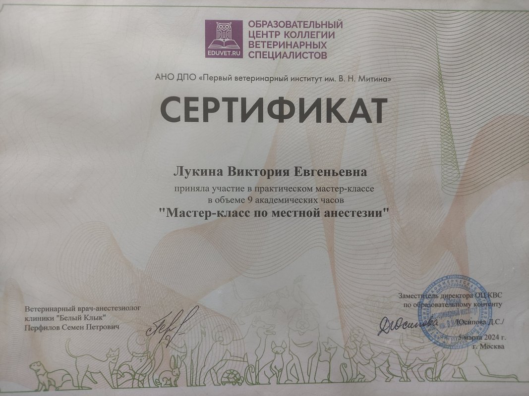 Документ или сертификат