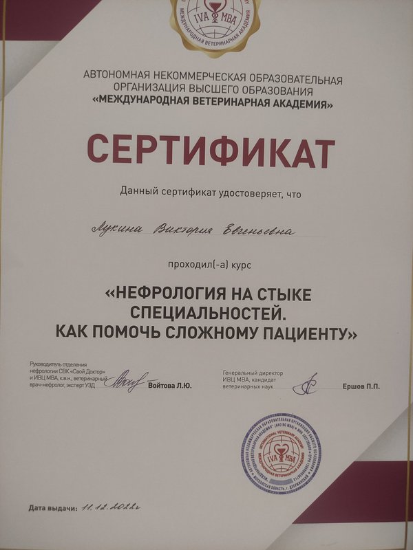 Документ или сертификат