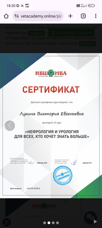 Документ или сертификат