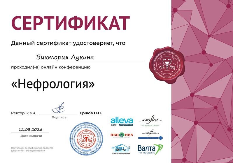 Документ или сертификат