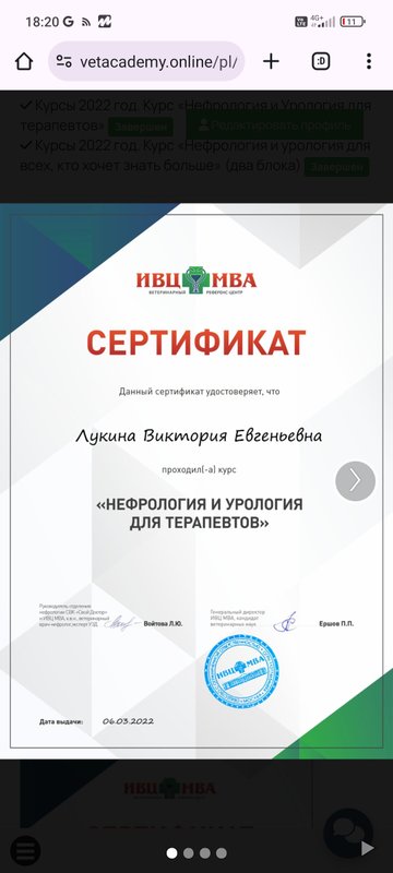 Документ или сертификат