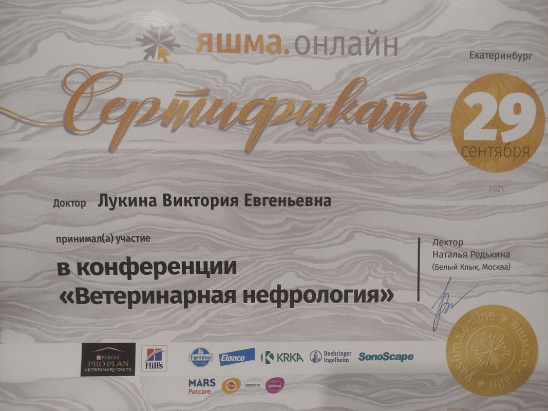 Документ или сертификат