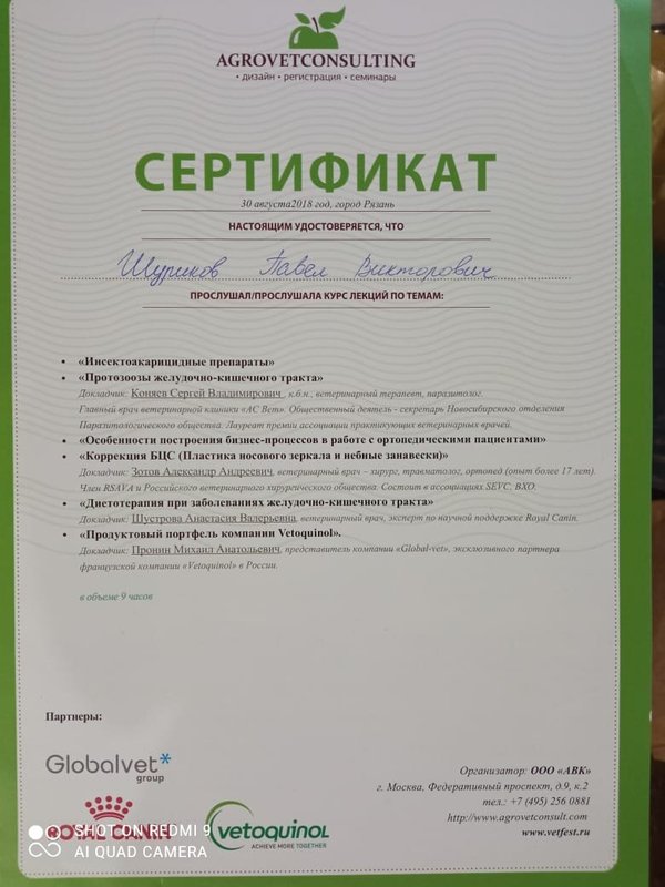 Документ или сертификат