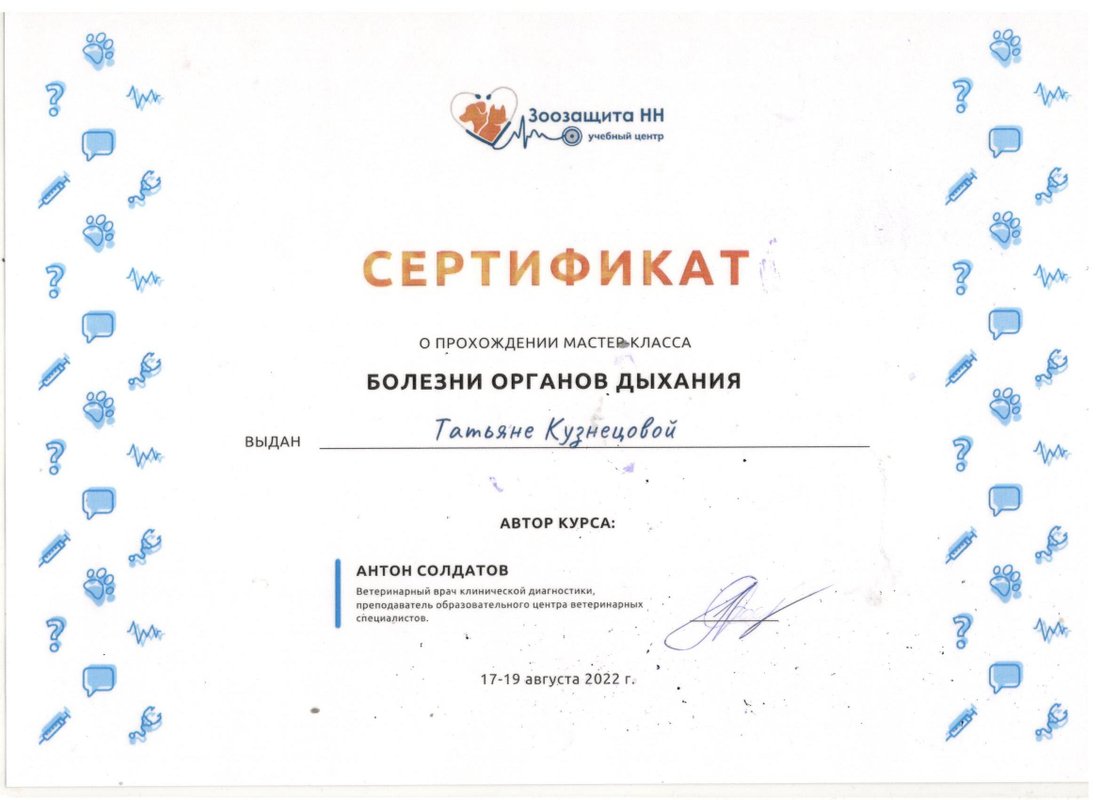 Документ или сертификат