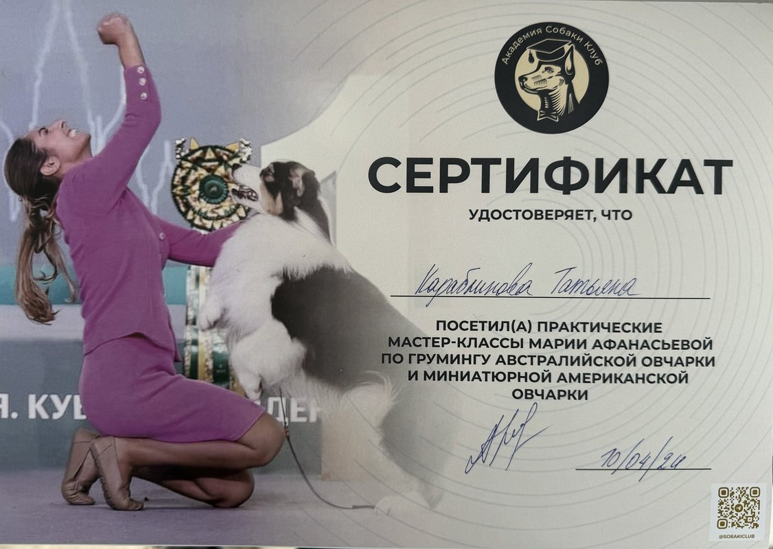 Документ или сертификат