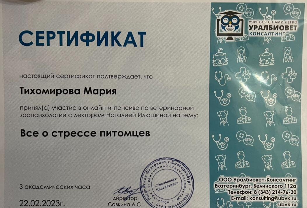 Документ или сертификат