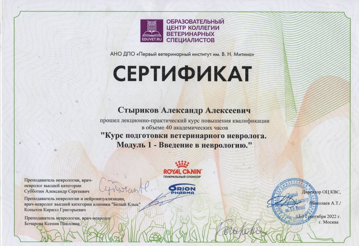 Документ или сертификат