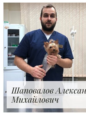 Фото врача Шаповалов Александр Михайлович