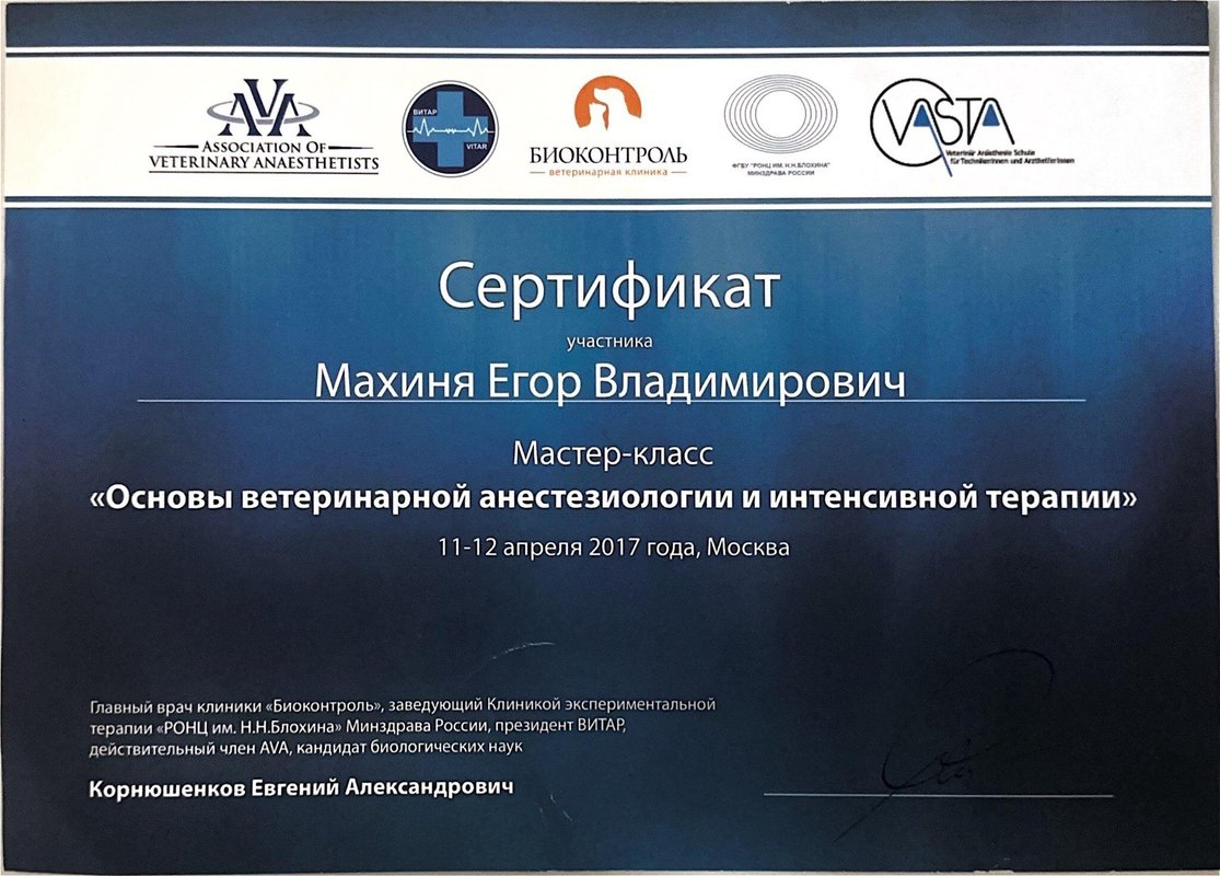 Документ или сертификат