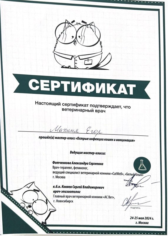 Документ или сертификат
