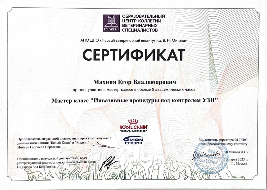 Документ или сертификат