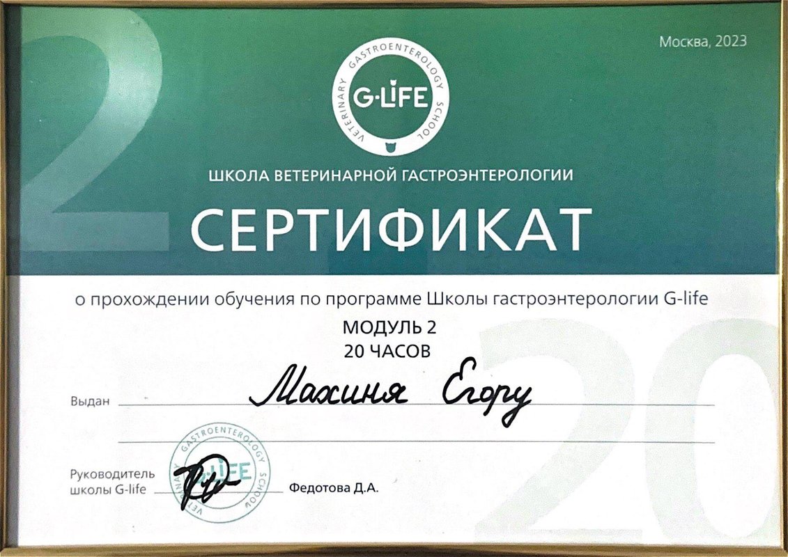 Документ или сертификат
