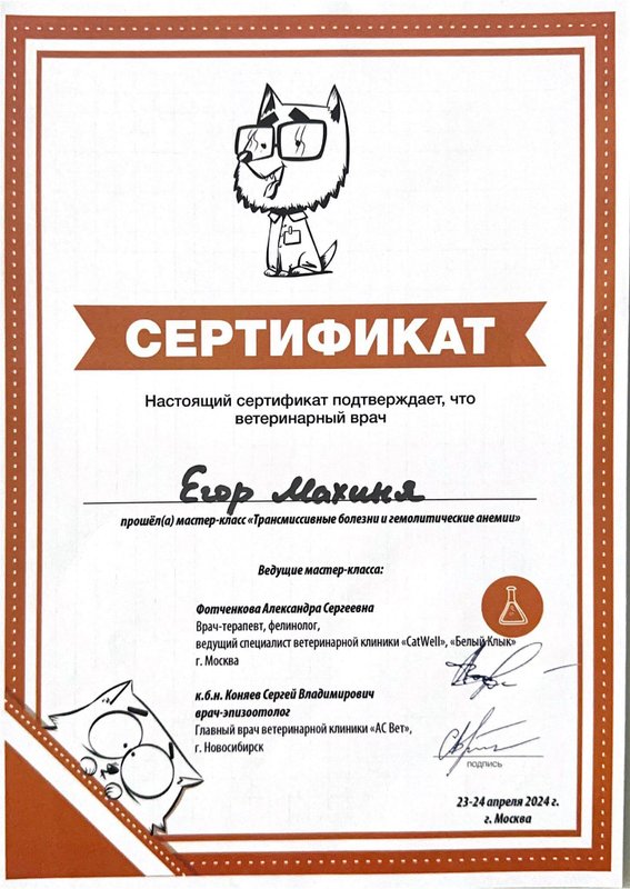 Документ или сертификат