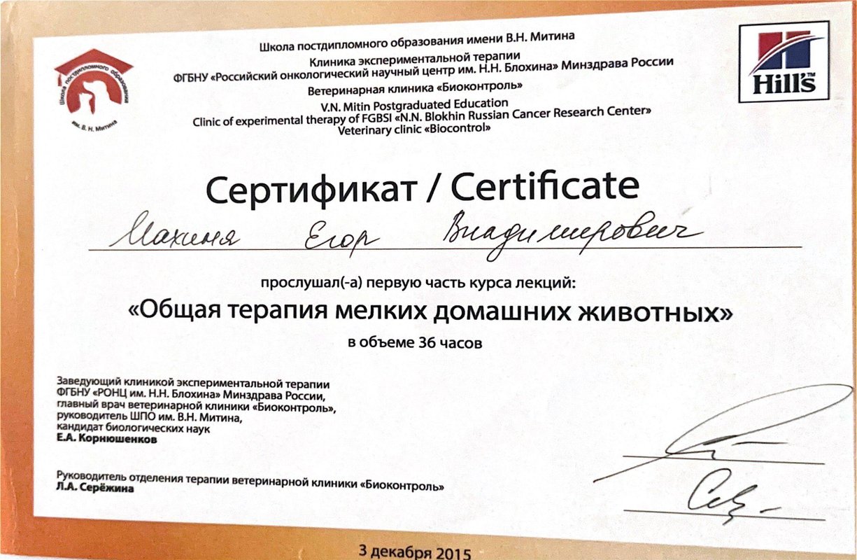 Документ или сертификат