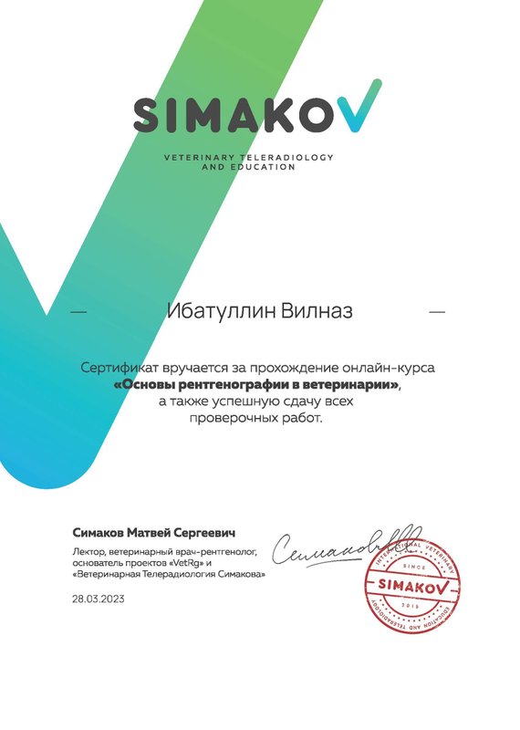 Документ или сертификат