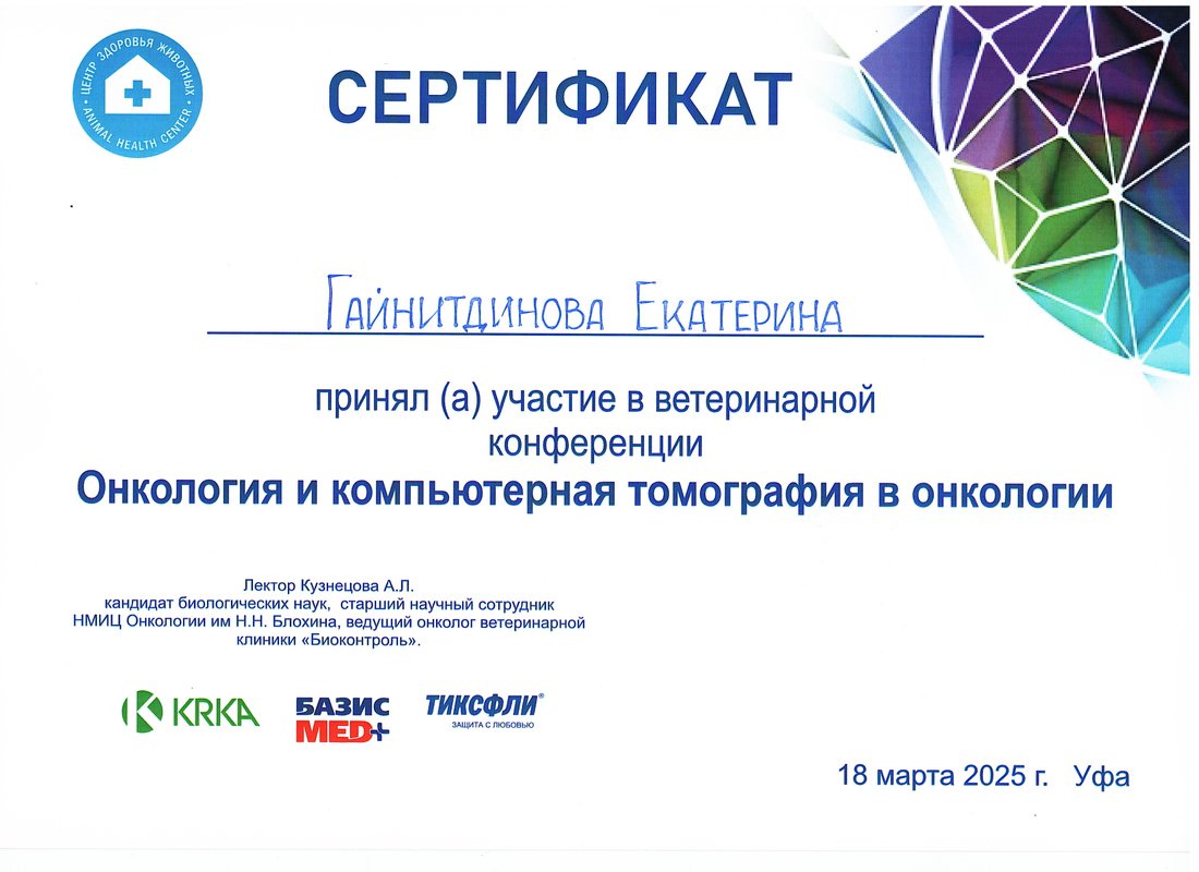 Документ или сертификат