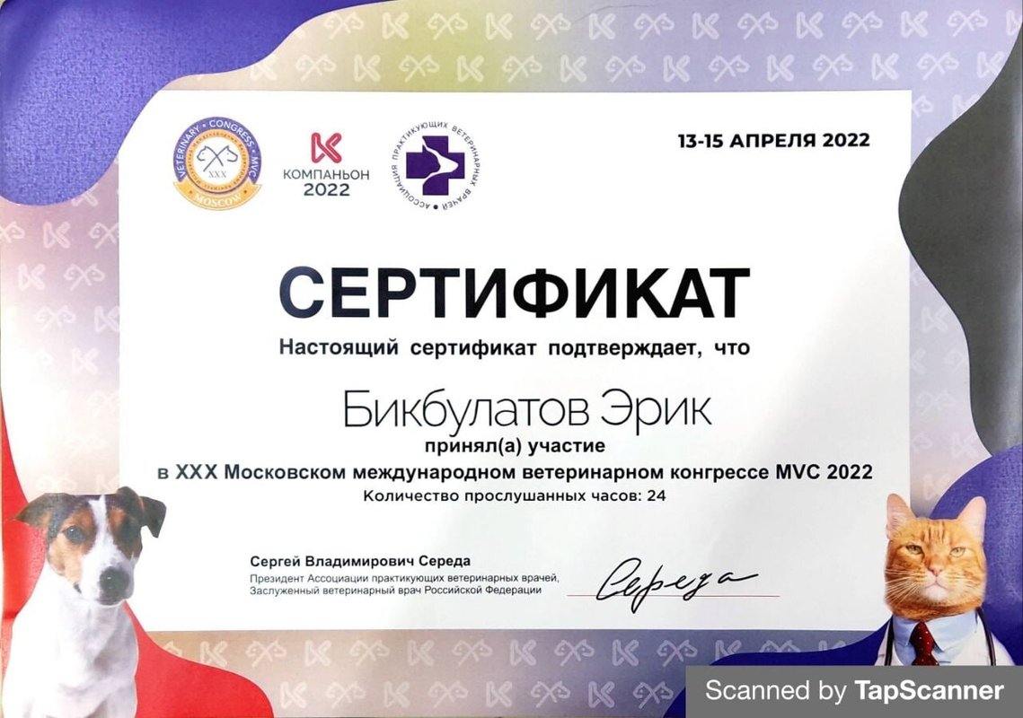 Документ или сертификат