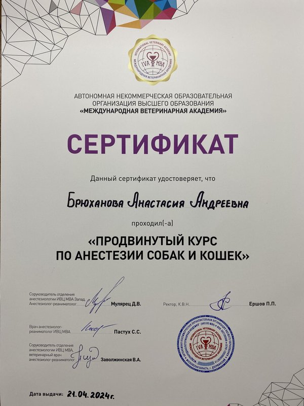Документ или сертификат