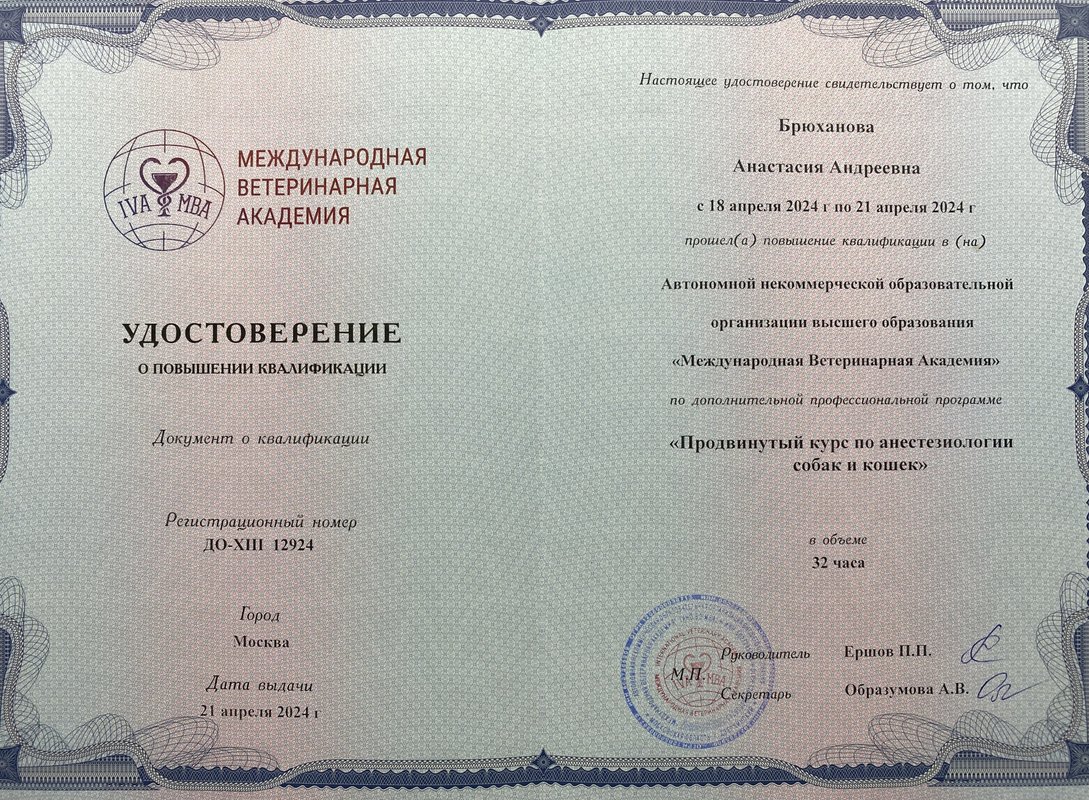 Документ или сертификат