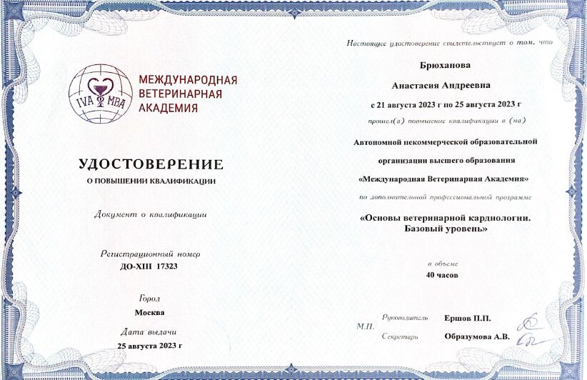 Документ или сертификат
