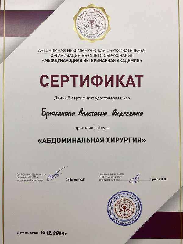 Документ или сертификат