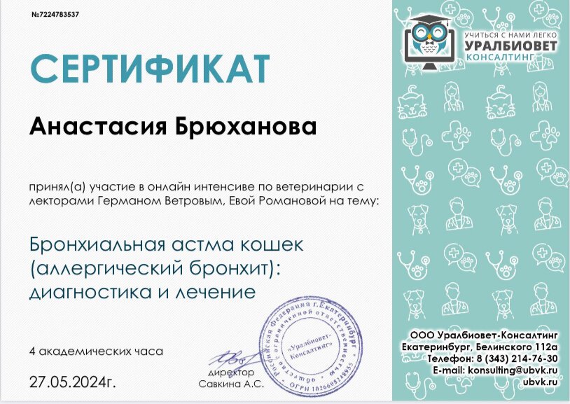 Документ или сертификат