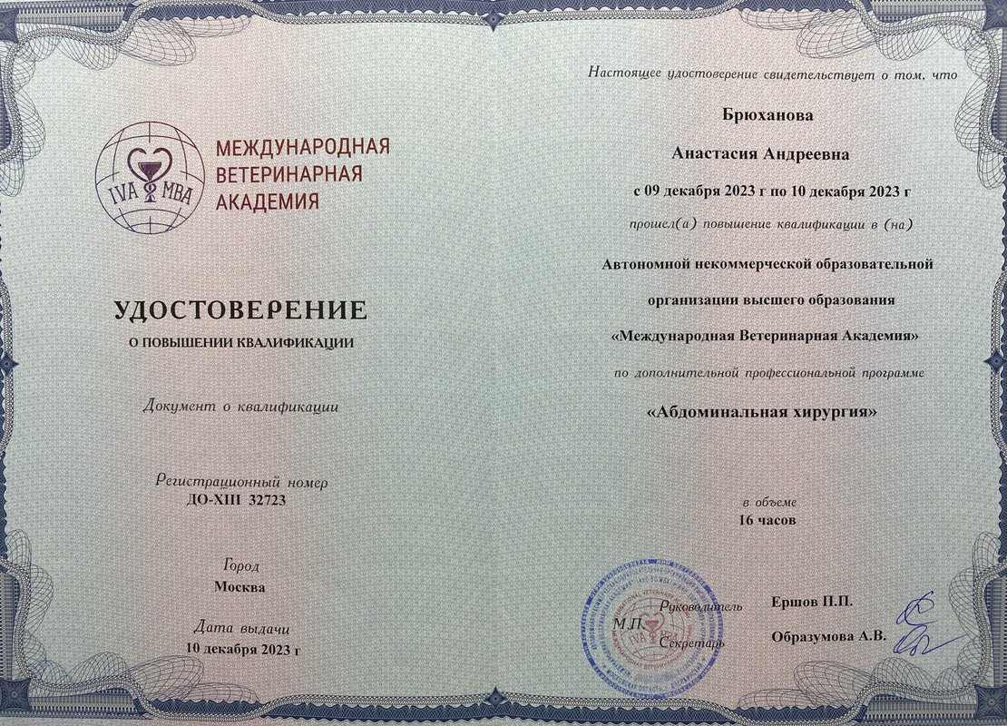 Документ или сертификат