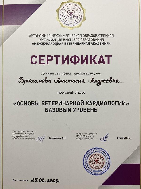 Документ или сертификат
